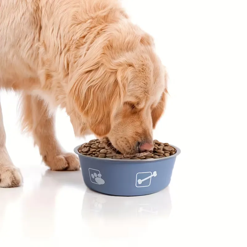 Personalized Quick-Drying Pet Feeding Mat