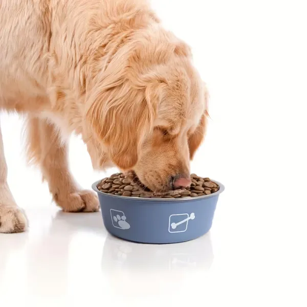 Personalized Quick-Drying Pet Feeding Mat
