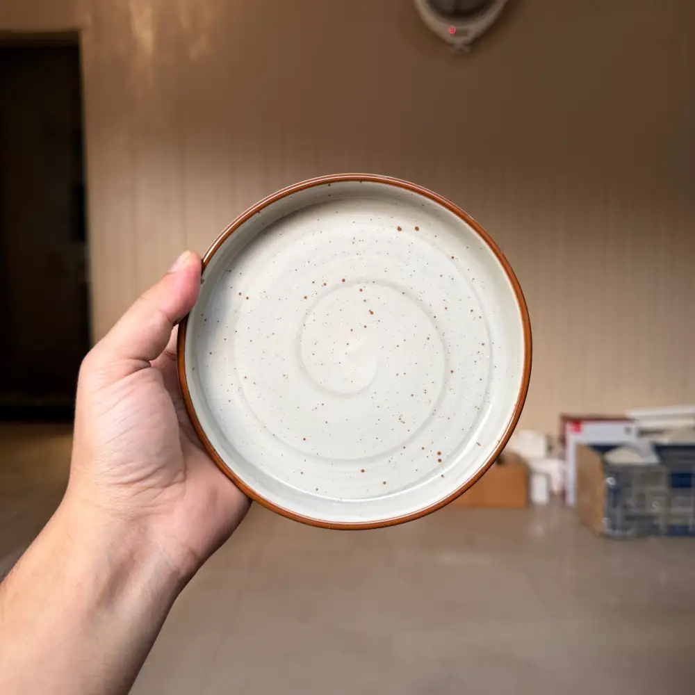 Contemporary Dining Ceramic Dining Plate