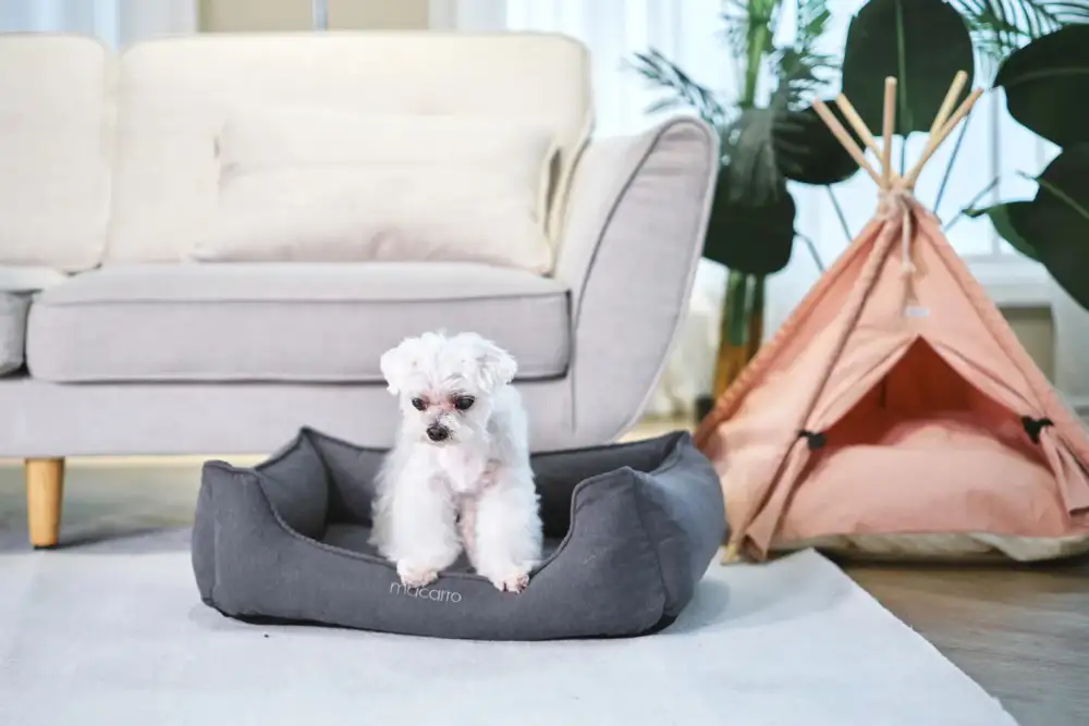 Soft Touch Pet Resting Bed