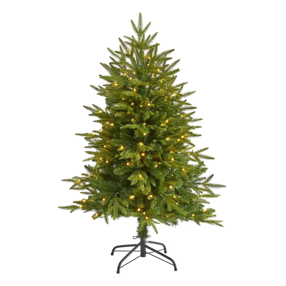 Colorado Mountain Fir 