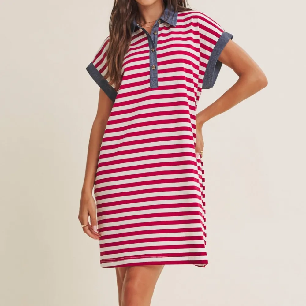 Striped Denim Button Front Polo Detail Dress
