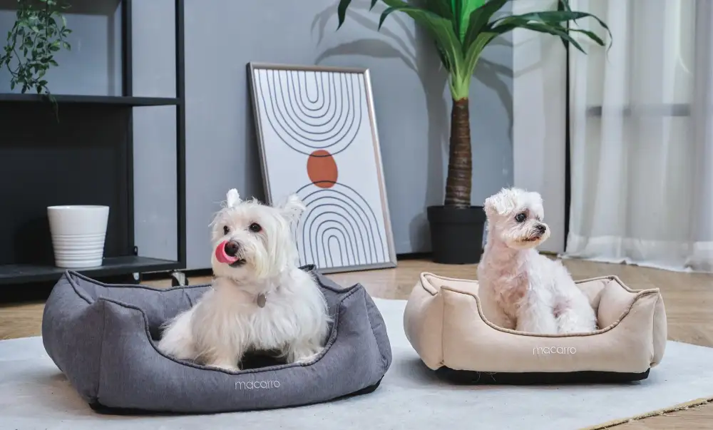 Soft Touch Pet Resting Bed