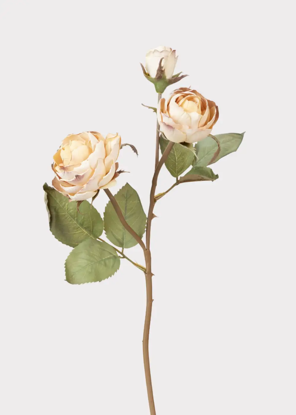 Dried Look Roses Floral Stem
