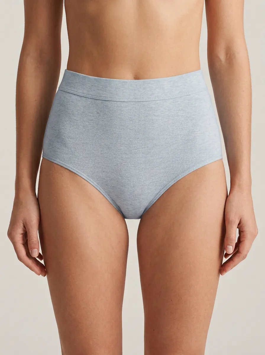 Classic High-Waisted Solid Silhouette Women's Panties