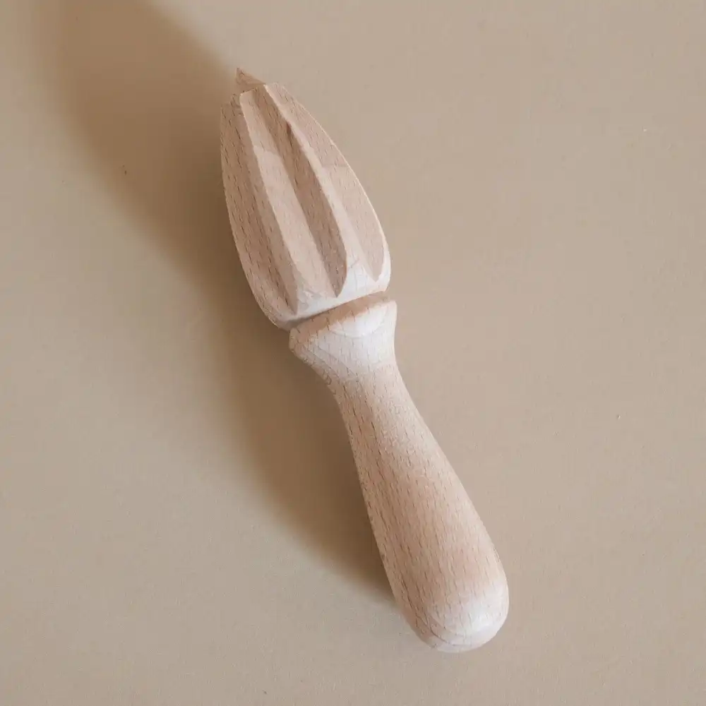 Everyday Citrus Reamer