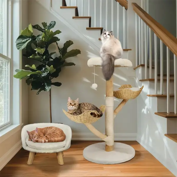 Multi Level Cat Playground