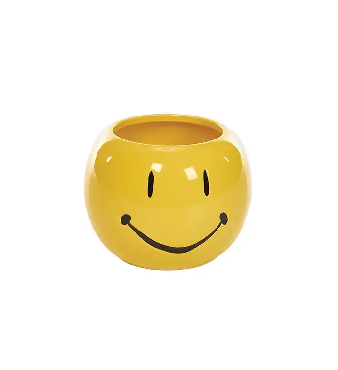 Smiling Face Accent Planter