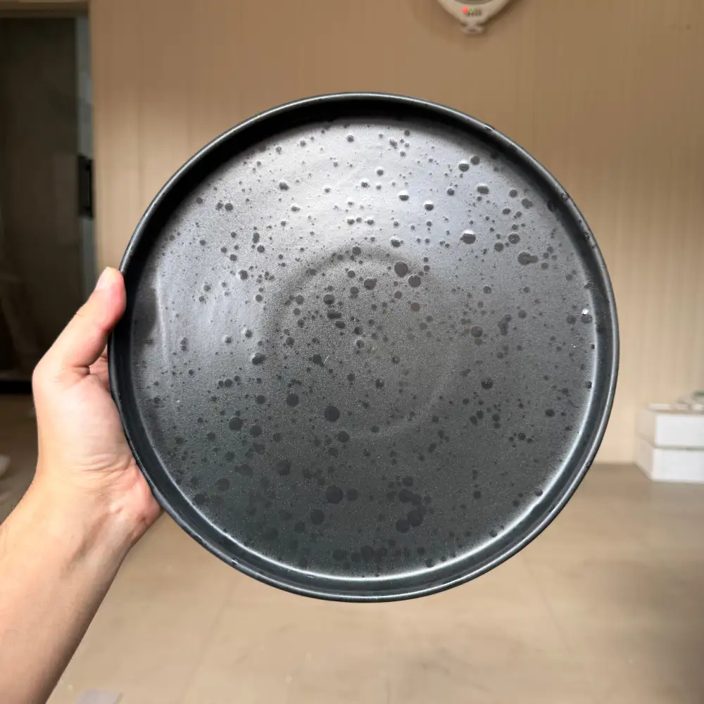 Daily Dining Ceramic Dining Plate