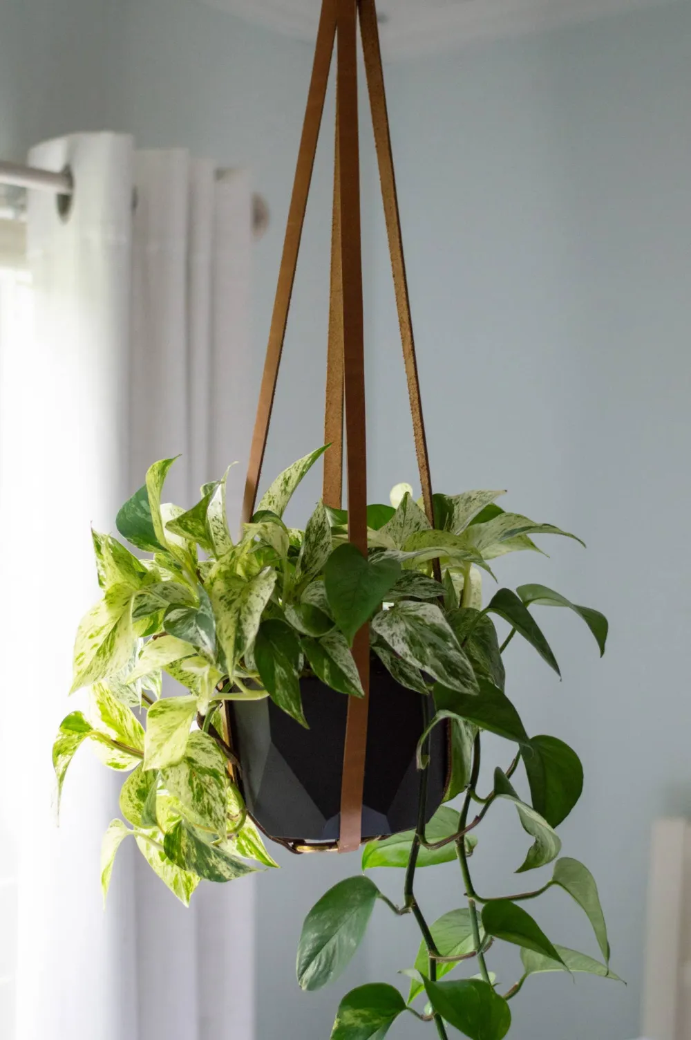 Elegant Living Space Decor Hanging Flower Pots