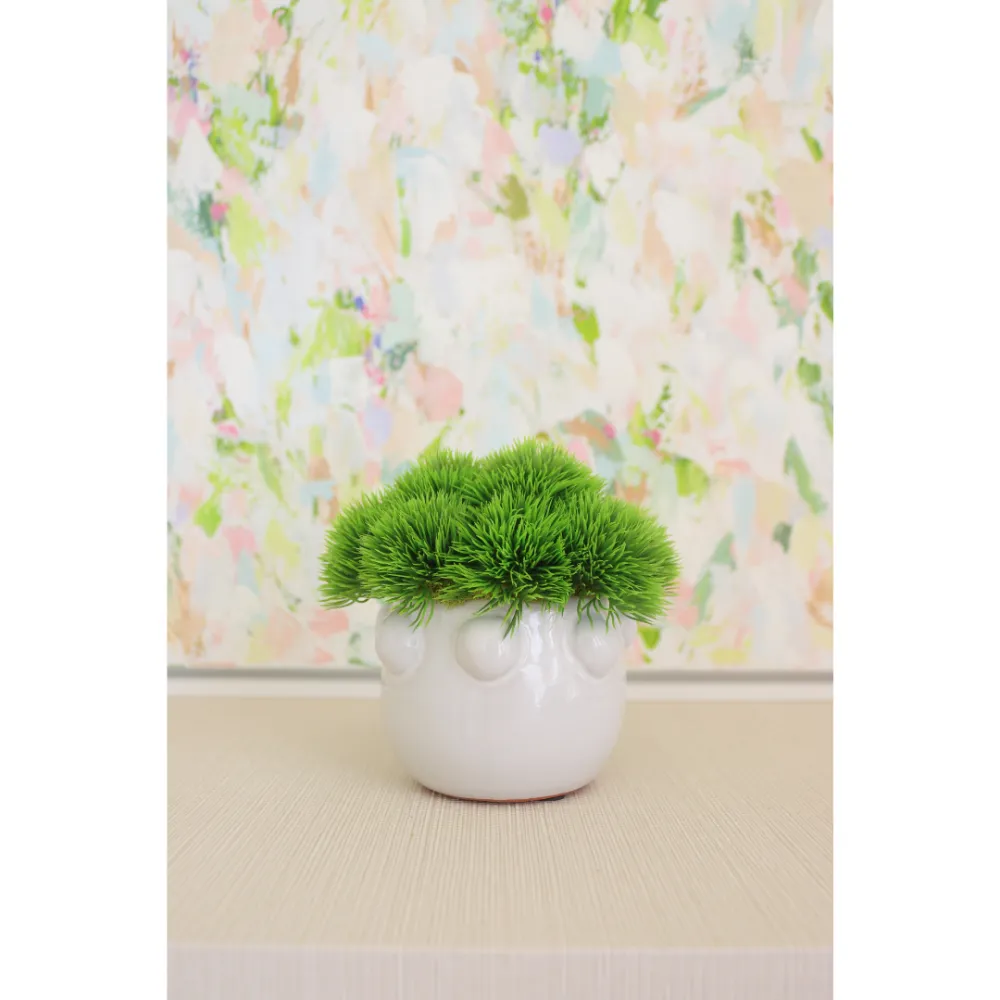 Bubble Pot Allium Arrangement