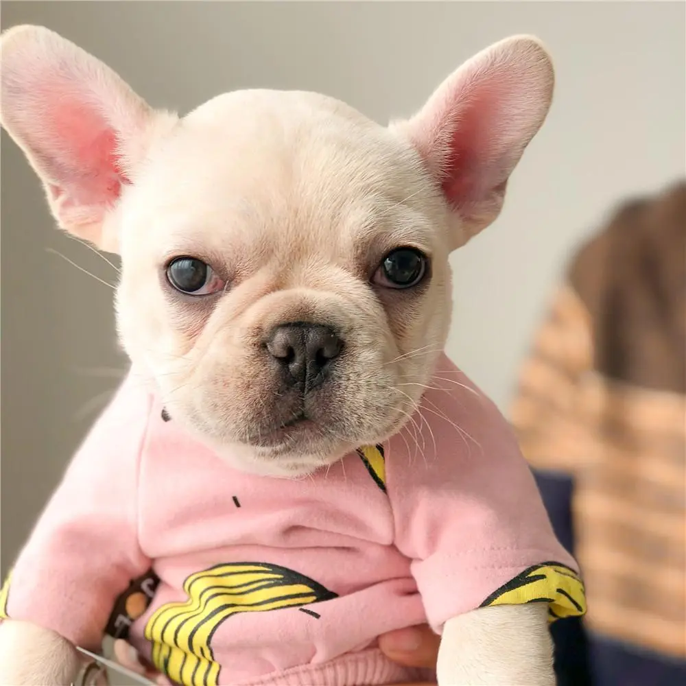 Banana Pajama Set