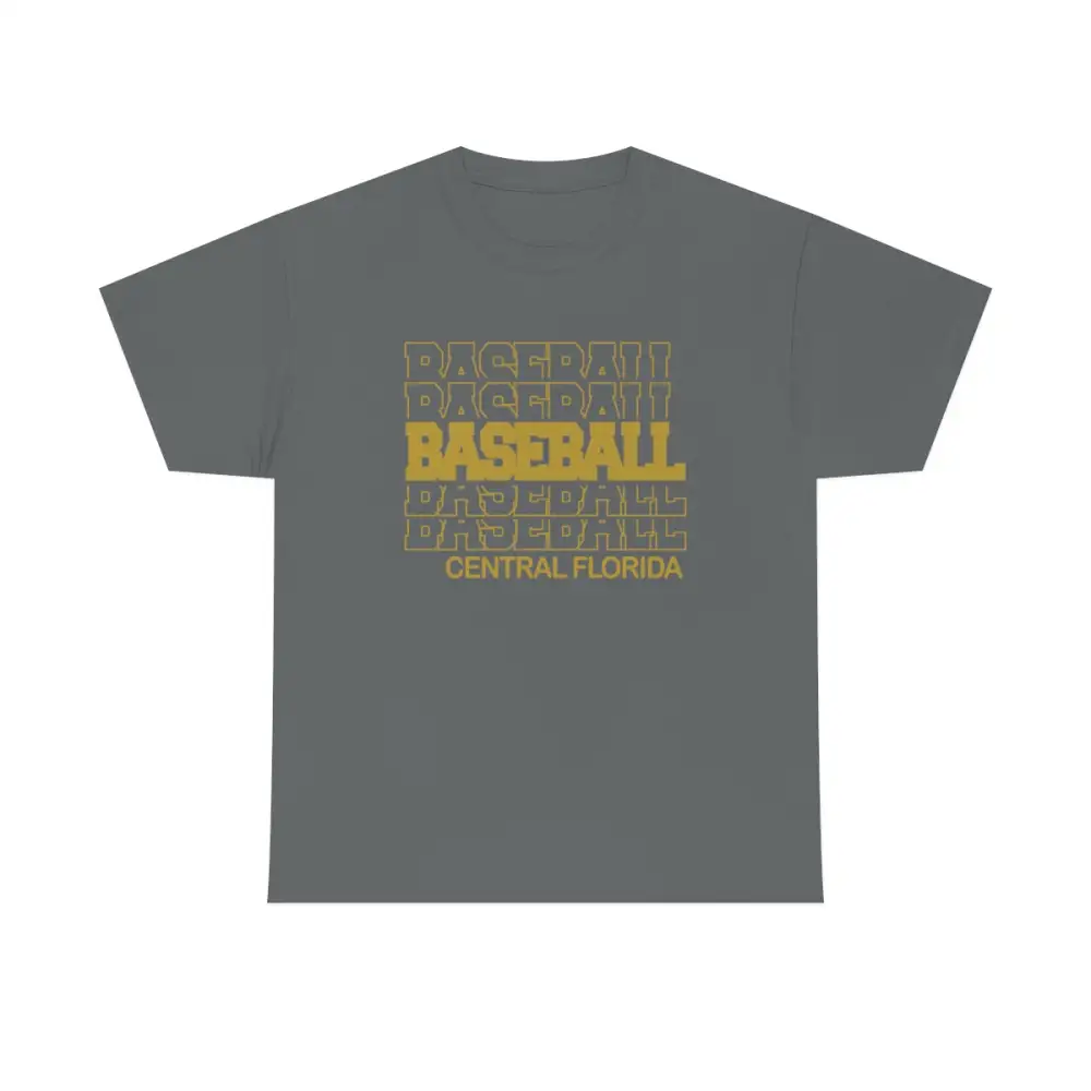 Baseball Central Florida in Modern Stacked Lettering