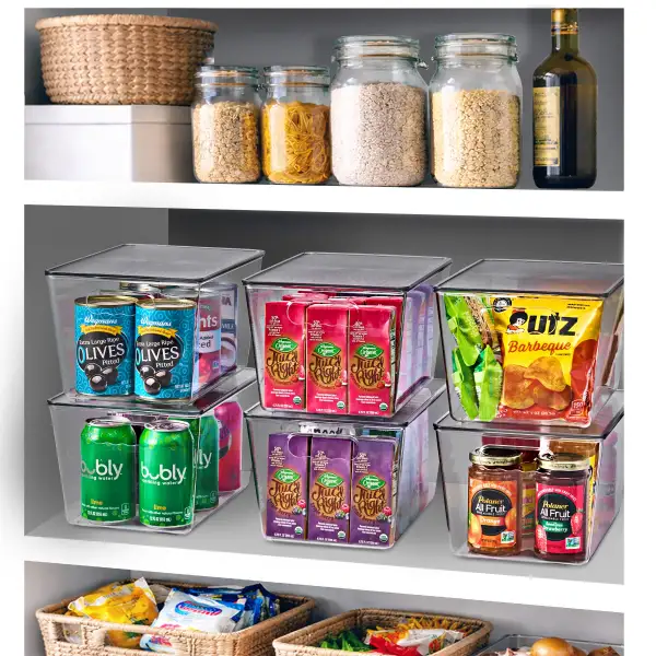Clear Storage Bins With Lids And Handles