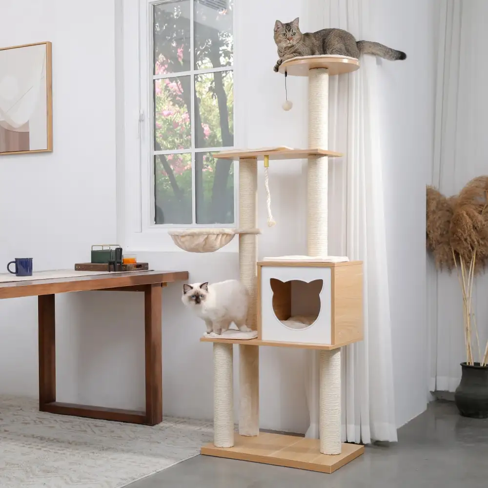 Comfortable Cat Climbing Tree