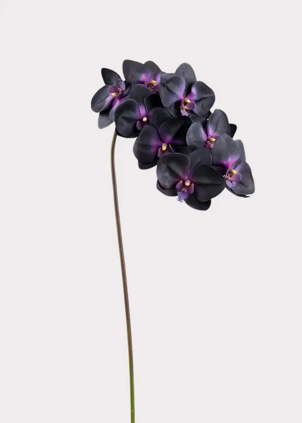 Artificial Refined Phalaenopsis Orchid Floral Stem