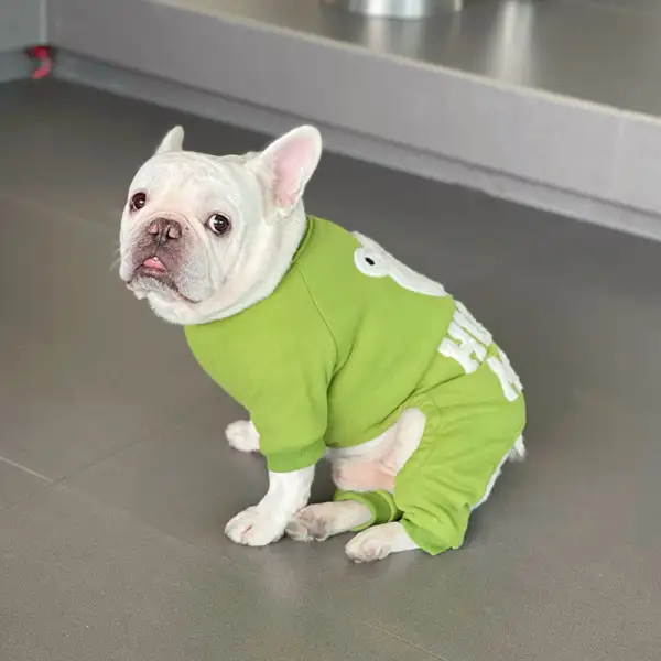 Everyday Pet Bear Jumpsuit