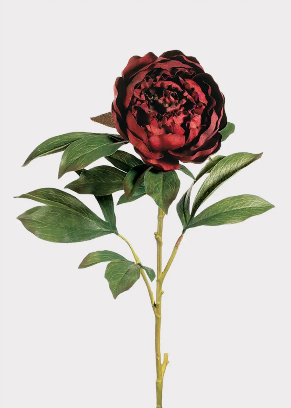 Artificial Refined Peony Floral Stem