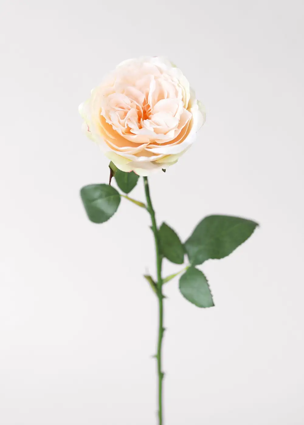 Artificial Cabbage Rose Floral Stem