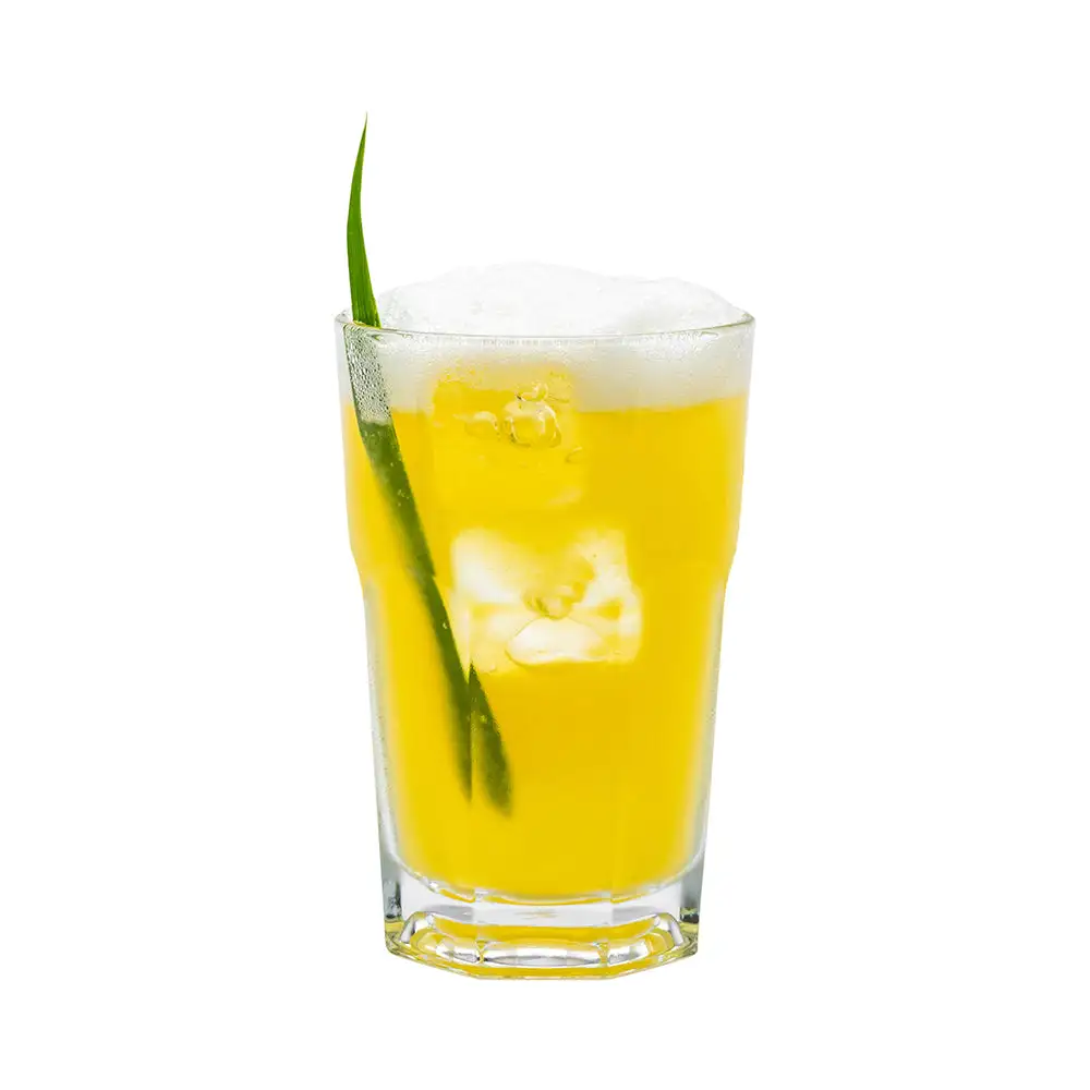 Modern Highball Beverage Glass