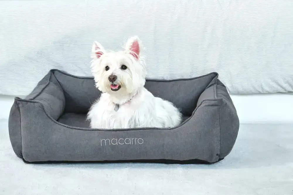 Soft Touch Pet Resting Bed