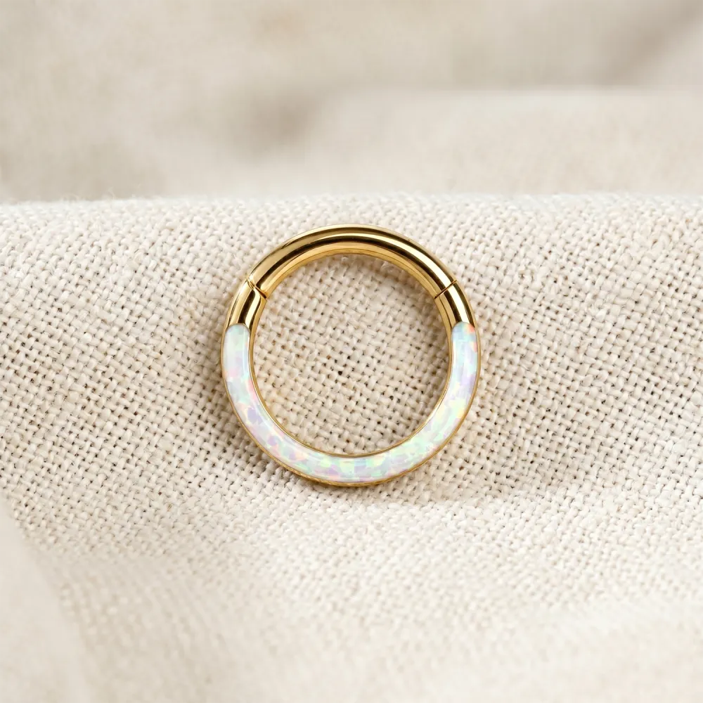 Contemporary Surgical-Steel Hinged Hoop Ring