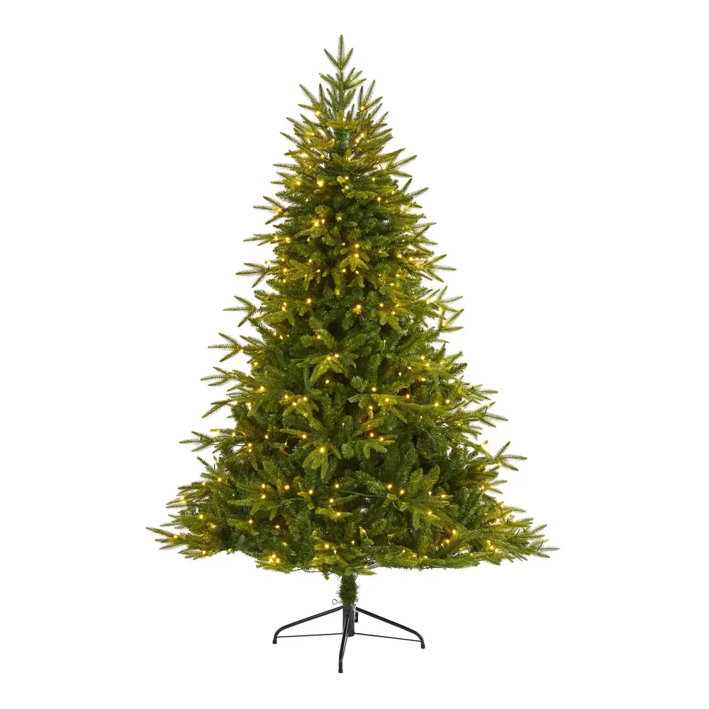 Colorado Mountain Fir 