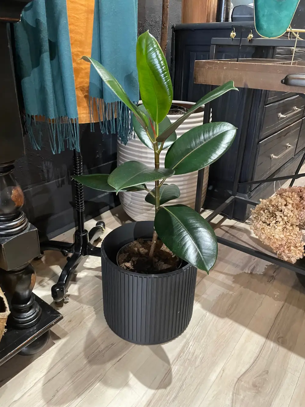 Natural Style Interior Piece Big Vase