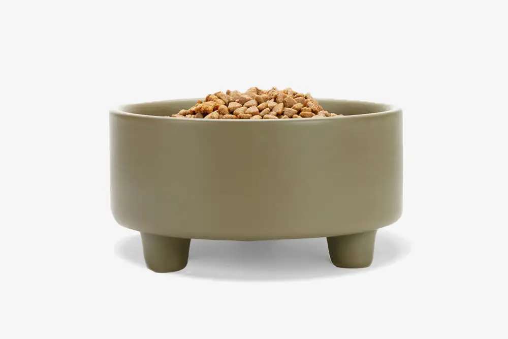 Footed Ceramic Dog Bowl