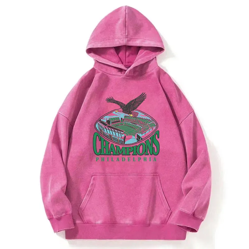 Eagle Champion Washed Hoodie