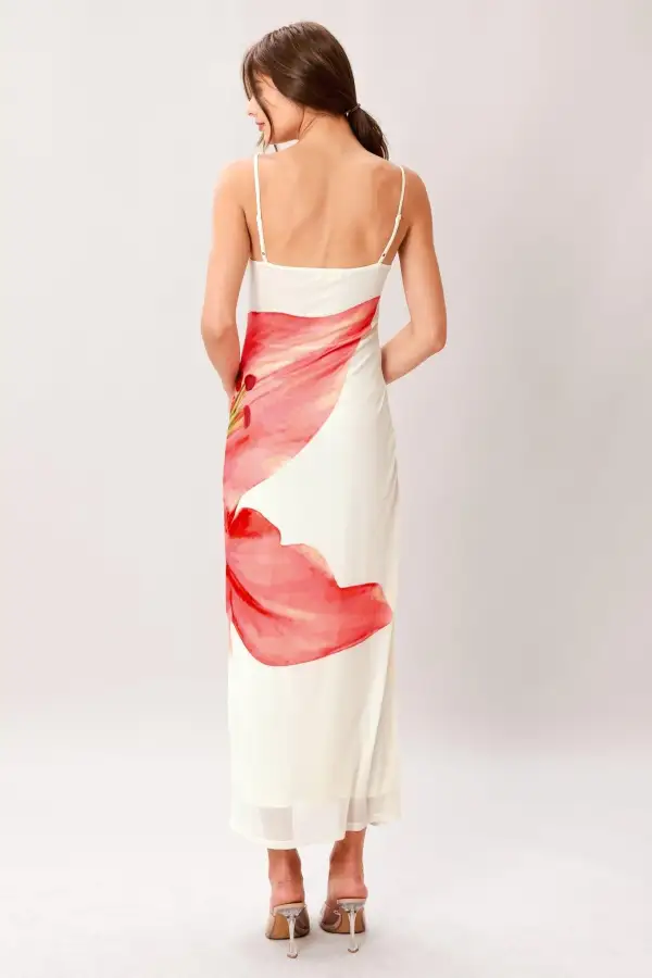 Classic Mesh Printed Midi Dress