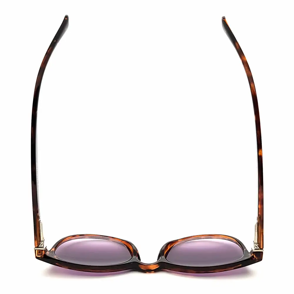 Keyhole Progressive Reading Sunglasses
