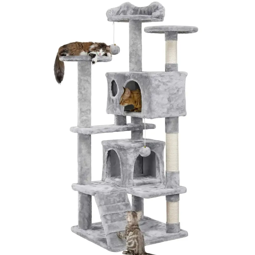 Comfortable Cat Climbing Tree
