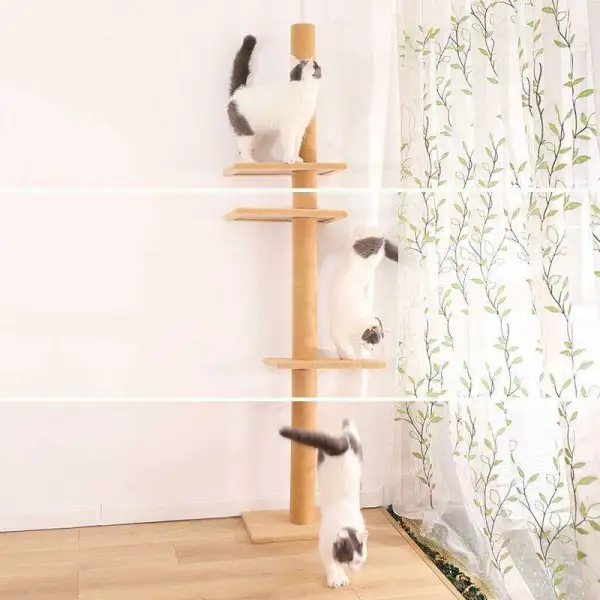 Customizable Cat Home Furniture