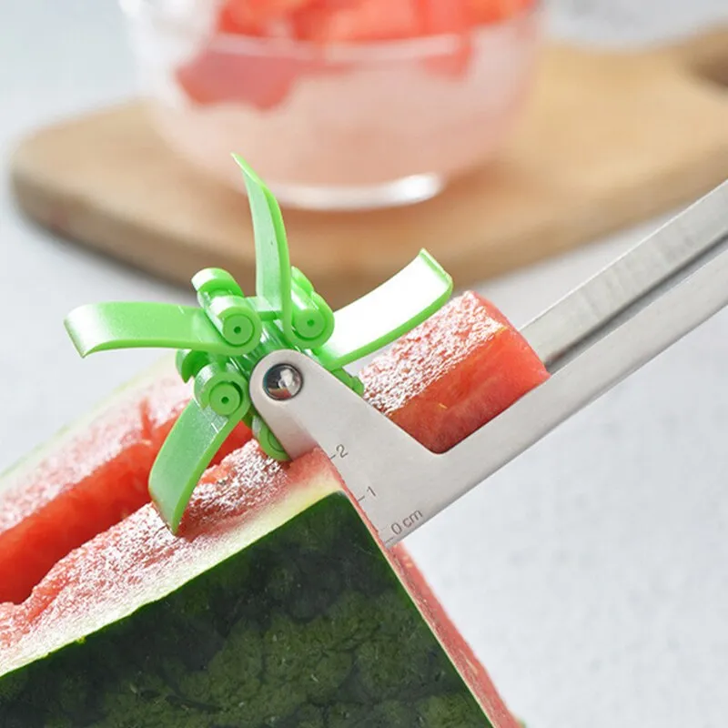 Watermelon Fruit Pinwheel Roller Cut