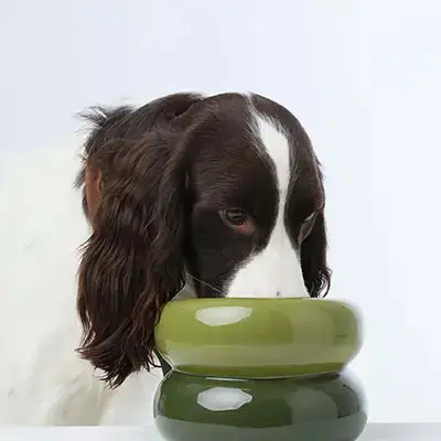 Minimal Classic Pet Bowl
