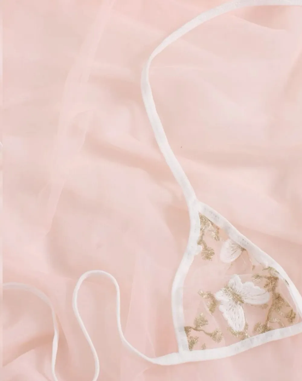 Butterfly Mesh Lingerie Set