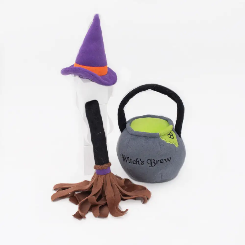 Witch Theme Pet Costume Set