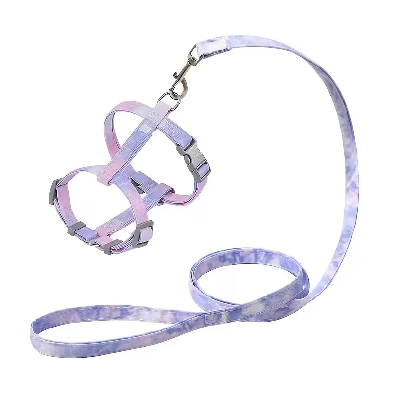 Gradient Pet Harness & Leash Set
