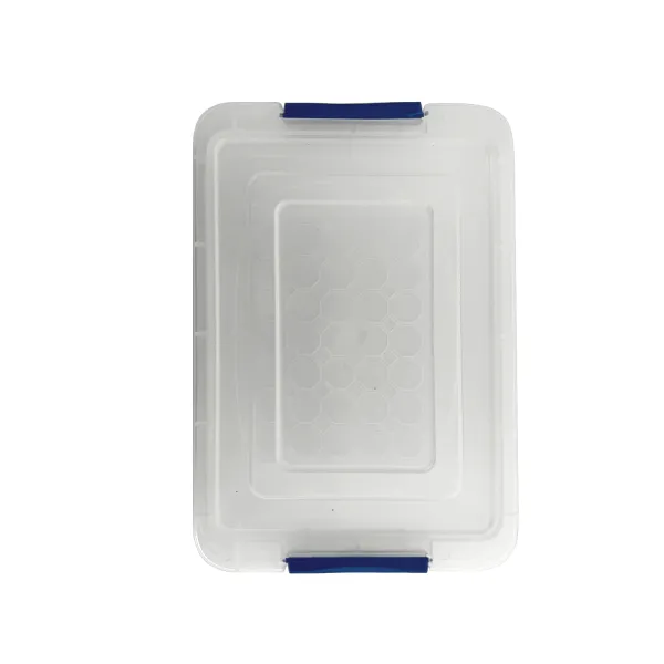 Compact Locking Storage Box