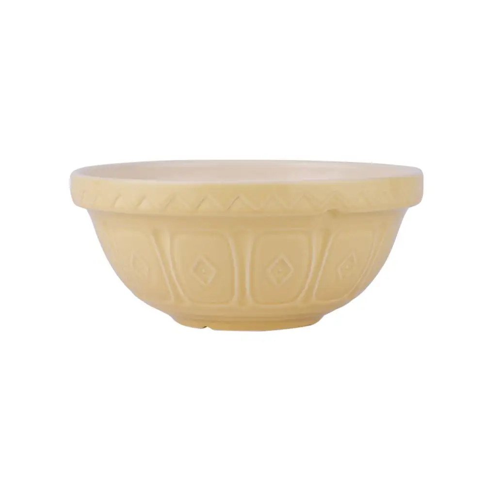 Versatile Serving Mixing Dining Bowl