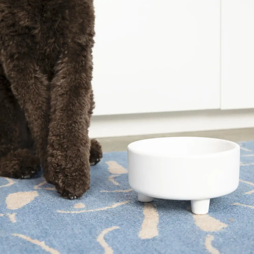 Footed Ceramic Dog Bowl