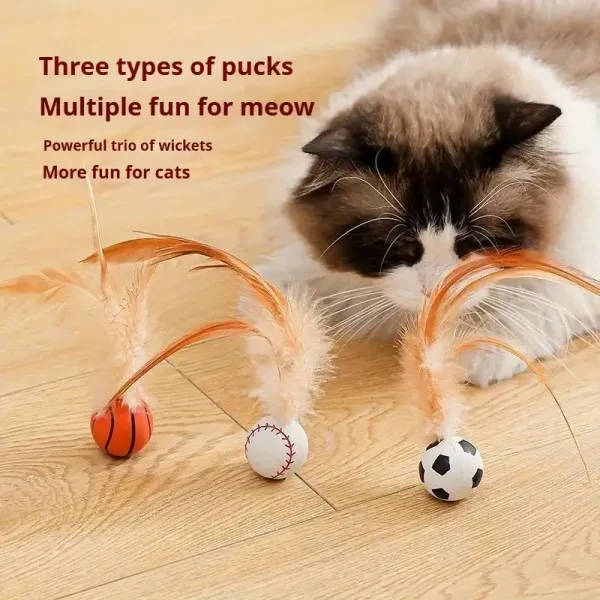 Cat Feather Sports Ball Toy