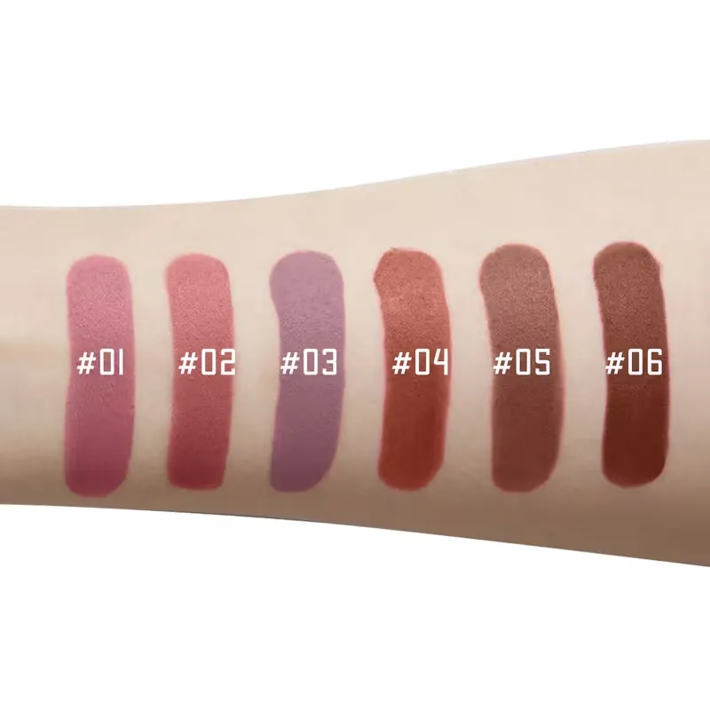 Velvet Brown Lipstick Kit