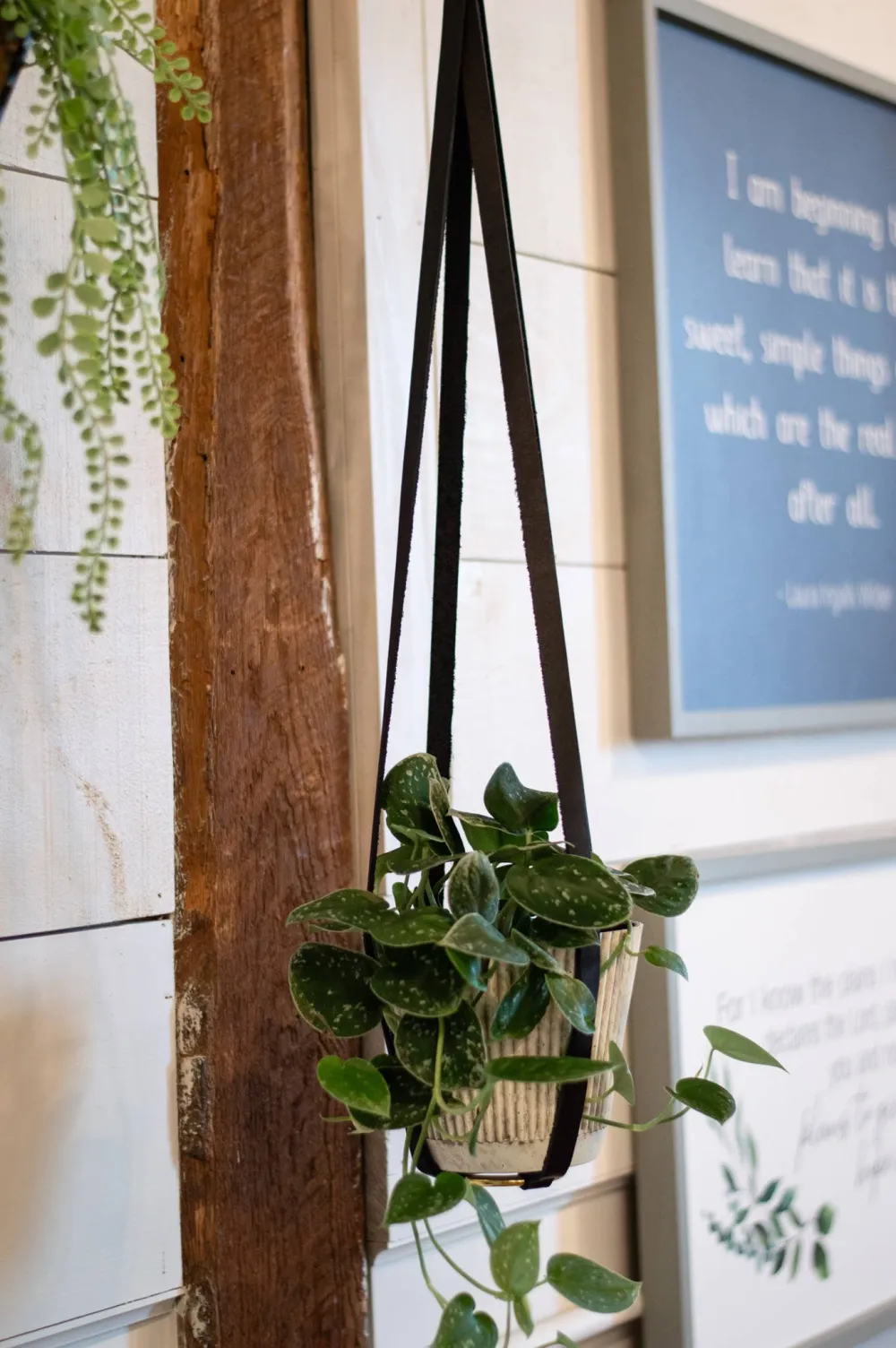 Elegant Living Space Decor Hanging Flower Pots