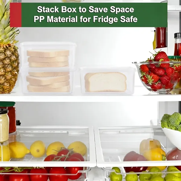 Plastic Food Storage Boxes