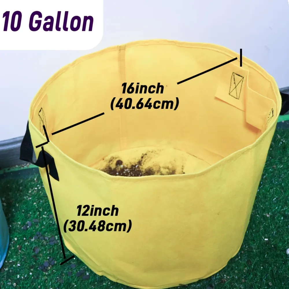 5 Pcs Fabric Plant Grow Bags