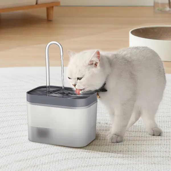 Cat & Dog Water Fountain