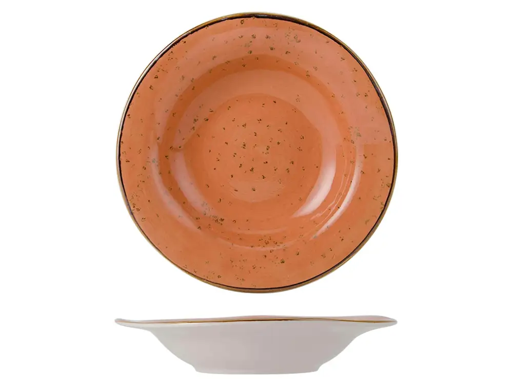 Rimmed Soup Bowl