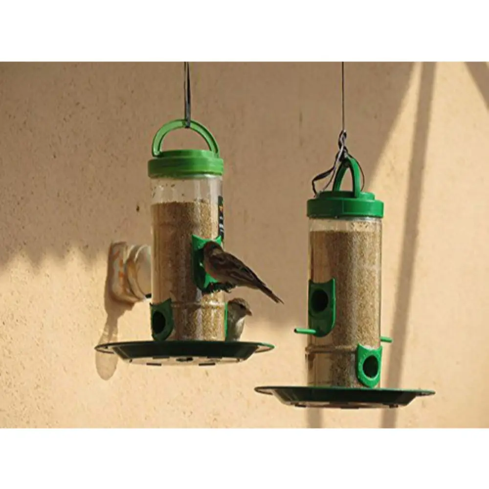 Bird feeder